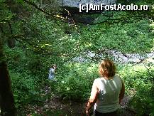 [P01] Pe aici se coboară, de pe drumul forestier, spre peşteră. În plan îndepărtat se vede partea de sus a intrării.  » foto by Utube
 - 
<span class="allrVoted glyphicon glyphicon-heart hidden" id="av421726"></span>
<a class="m-l-10 hidden" id="sv421726" onclick="voting_Foto_DelVot(,421726,2923)" role="button">șterge vot <span class="glyphicon glyphicon-remove"></span></a>
<a id="v9421726" class=" c-red"  onclick="voting_Foto_SetVot(421726)" role="button"><span class="glyphicon glyphicon-heart-empty"></span> <b>LIKE</b> = Votează poza</a> <img class="hidden"  id="f421726W9" src="/imagini/loader.gif" border="0" /><span class="AjErrMes hidden" id="e421726ErM"></span>