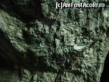 [P13] Un perete strălucitor.  » foto by Utube
 - 
<span class="allrVoted glyphicon glyphicon-heart hidden" id="av421738"></span>
<a class="m-l-10 hidden" id="sv421738" onclick="voting_Foto_DelVot(,421738,2923)" role="button">șterge vot <span class="glyphicon glyphicon-remove"></span></a>
<a id="v9421738" class=" c-red"  onclick="voting_Foto_SetVot(421738)" role="button"><span class="glyphicon glyphicon-heart-empty"></span> <b>LIKE</b> = Votează poza</a> <img class="hidden"  id="f421738W9" src="/imagini/loader.gif" border="0" /><span class="AjErrMes hidden" id="e421738ErM"></span>