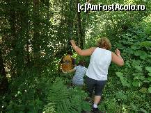 [P01] Pe aici se coboară, de la drumul forestier, la peşteră.  » foto by Utube
 - 
<span class="allrVoted glyphicon glyphicon-heart hidden" id="av424268"></span>
<a class="m-l-10 hidden" id="sv424268" onclick="voting_Foto_DelVot(,424268,2923)" role="button">șterge vot <span class="glyphicon glyphicon-remove"></span></a>
<a id="v9424268" class=" c-red"  onclick="voting_Foto_SetVot(424268)" role="button"><span class="glyphicon glyphicon-heart-empty"></span> <b>LIKE</b> = Votează poza</a> <img class="hidden"  id="f424268W9" src="/imagini/loader.gif" border="0" /><span class="AjErrMes hidden" id="e424268ErM"></span>