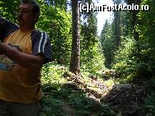 [P07] În direcţia respectivă este Coiba Mare. Se observă trunchiuri de copaci duşi de ape atunci când intrarea în Coiba Mică este prea mică pentru puhoiul de ape şi acestea se revarsă spre Coiba Mare formând un lac de 400 - 500 de metri lungime.  » foto by Utube
 - 
<span class="allrVoted glyphicon glyphicon-heart hidden" id="av424274"></span>
<a class="m-l-10 hidden" id="sv424274" onclick="voting_Foto_DelVot(,424274,2923)" role="button">șterge vot <span class="glyphicon glyphicon-remove"></span></a>
<a id="v9424274" class=" c-red"  onclick="voting_Foto_SetVot(424274)" role="button"><span class="glyphicon glyphicon-heart-empty"></span> <b>LIKE</b> = Votează poza</a> <img class="hidden"  id="f424274W9" src="/imagini/loader.gif" border="0" /><span class="AjErrMes hidden" id="e424274ErM"></span>