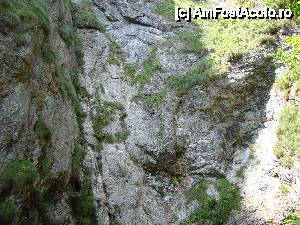 [P07] Peretele stâncos de deasupra izbucului.  » foto by Utube
 - 
<span class="allrVoted glyphicon glyphicon-heart hidden" id="av433645"></span>
<a class="m-l-10 hidden" id="sv433645" onclick="voting_Foto_DelVot(,433645,2923)" role="button">șterge vot <span class="glyphicon glyphicon-remove"></span></a>
<a id="v9433645" class=" c-red"  onclick="voting_Foto_SetVot(433645)" role="button"><span class="glyphicon glyphicon-heart-empty"></span> <b>LIKE</b> = Votează poza</a> <img class="hidden"  id="f433645W9" src="/imagini/loader.gif" border="0" /><span class="AjErrMes hidden" id="e433645ErM"></span>