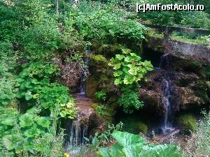 [P13] O mini-cascada Bigar in cheile Ordancusei » foto by dorgo
 - 
<span class="allrVoted glyphicon glyphicon-heart hidden" id="av654728"></span>
<a class="m-l-10 hidden" id="sv654728" onclick="voting_Foto_DelVot(,654728,2923)" role="button">șterge vot <span class="glyphicon glyphicon-remove"></span></a>
<a id="v9654728" class=" c-red"  onclick="voting_Foto_SetVot(654728)" role="button"><span class="glyphicon glyphicon-heart-empty"></span> <b>LIKE</b> = Votează poza</a> <img class="hidden"  id="f654728W9" src="/imagini/loader.gif" border="0" /><span class="AjErrMes hidden" id="e654728ErM"></span>