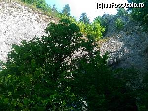 [P16] Urcand pe scari spre pestera lui Ionele » foto by dorgo
 - 
<span class="allrVoted glyphicon glyphicon-heart hidden" id="av654731"></span>
<a class="m-l-10 hidden" id="sv654731" onclick="voting_Foto_DelVot(,654731,2923)" role="button">șterge vot <span class="glyphicon glyphicon-remove"></span></a>
<a id="v9654731" class=" c-red"  onclick="voting_Foto_SetVot(654731)" role="button"><span class="glyphicon glyphicon-heart-empty"></span> <b>LIKE</b> = Votează poza</a> <img class="hidden"  id="f654731W9" src="/imagini/loader.gif" border="0" /><span class="AjErrMes hidden" id="e654731ErM"></span>