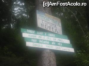 [P04] La 'Popasul lui Horea' esti intampinat cu versurile lui Eminescu... 'Imparat slavit e codrul/Neamuri mii ii cresc sub poale/Toate inflorind din mila/Codrului, mariei sale' » foto by dorgo
 - 
<span class="allrVoted glyphicon glyphicon-heart hidden" id="av669496"></span>
<a class="m-l-10 hidden" id="sv669496" onclick="voting_Foto_DelVot(,669496,2923)" role="button">șterge vot <span class="glyphicon glyphicon-remove"></span></a>
<a id="v9669496" class=" c-red"  onclick="voting_Foto_SetVot(669496)" role="button"><span class="glyphicon glyphicon-heart-empty"></span> <b>LIKE</b> = Votează poza</a> <img class="hidden"  id="f669496W9" src="/imagini/loader.gif" border="0" /><span class="AjErrMes hidden" id="e669496ErM"></span>