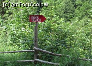 [P02] Indicatorul catre izbuc, pe partea stanga a drumului » foto by simplegirl
 - 
<span class="allrVoted glyphicon glyphicon-heart hidden" id="av892899"></span>
<a class="m-l-10 hidden" id="sv892899" onclick="voting_Foto_DelVot(,892899,2923)" role="button">șterge vot <span class="glyphicon glyphicon-remove"></span></a>
<a id="v9892899" class=" c-red"  onclick="voting_Foto_SetVot(892899)" role="button"><span class="glyphicon glyphicon-heart-empty"></span> <b>LIKE</b> = Votează poza</a> <img class="hidden"  id="f892899W9" src="/imagini/loader.gif" border="0" /><span class="AjErrMes hidden" id="e892899ErM"></span>