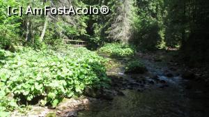 [P04] Traseul catre Izbuc, cam 10 min de mers in compania raului Gardisoara » foto by simplegirl
 - 
<span class="allrVoted glyphicon glyphicon-heart hidden" id="av892901"></span>
<a class="m-l-10 hidden" id="sv892901" onclick="voting_Foto_DelVot(,892901,2923)" role="button">șterge vot <span class="glyphicon glyphicon-remove"></span></a>
<a id="v9892901" class=" c-red"  onclick="voting_Foto_SetVot(892901)" role="button"><span class="glyphicon glyphicon-heart-empty"></span> <b>LIKE</b> = Votează poza</a> <img class="hidden"  id="f892901W9" src="/imagini/loader.gif" border="0" /><span class="AjErrMes hidden" id="e892901ErM"></span>