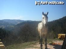 [P06] Caii umbla liberi in aceste zone » foto by Alina Morar
 - 
<span class="allrVoted glyphicon glyphicon-heart hidden" id="av201359"></span>
<a class="m-l-10 hidden" id="sv201359" onclick="voting_Foto_DelVot(,201359,2923)" role="button">șterge vot <span class="glyphicon glyphicon-remove"></span></a>
<a id="v9201359" class=" c-red"  onclick="voting_Foto_SetVot(201359)" role="button"><span class="glyphicon glyphicon-heart-empty"></span> <b>LIKE</b> = Votează poza</a> <img class="hidden"  id="f201359W9" src="/imagini/loader.gif" border="0" /><span class="AjErrMes hidden" id="e201359ErM"></span>