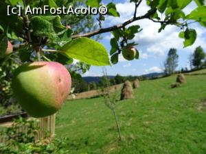 [P19] Mere și fânețe de august în Apuseni.  » foto by tata123 🔱
 - 
<span class="allrVoted glyphicon glyphicon-heart hidden" id="av1099589"></span>
<a class="m-l-10 hidden" id="sv1099589" onclick="voting_Foto_DelVot(,1099589,2923)" role="button">șterge vot <span class="glyphicon glyphicon-remove"></span></a>
<a id="v91099589" class=" c-red"  onclick="voting_Foto_SetVot(1099589)" role="button"><span class="glyphicon glyphicon-heart-empty"></span> <b>LIKE</b> = Votează poza</a> <img class="hidden"  id="f1099589W9" src="/imagini/loader.gif" border="0" /><span class="AjErrMes hidden" id="e1099589ErM"></span>