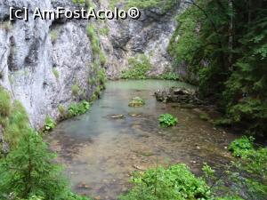 [P11] Izbucul Tăuz - o oglindă verde de apă.  » foto by tata123 🔱
 - 
<span class="allrVoted glyphicon glyphicon-heart hidden" id="av1111931"></span>
<a class="m-l-10 hidden" id="sv1111931" onclick="voting_Foto_DelVot(,1111931,2923)" role="button">șterge vot <span class="glyphicon glyphicon-remove"></span></a>
<a id="v91111931" class=" c-red"  onclick="voting_Foto_SetVot(1111931)" role="button"><span class="glyphicon glyphicon-heart-empty"></span> <b>LIKE</b> = Votează poza</a> <img class="hidden"  id="f1111931W9" src="/imagini/loader.gif" border="0" /><span class="AjErrMes hidden" id="e1111931ErM"></span>