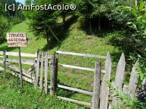[P18] Pe aici pornim spre Izbucul Cotețul Dobreștilor.  » foto by tata123 🔱
 - 
<span class="allrVoted glyphicon glyphicon-heart hidden" id="av1111938"></span>
<a class="m-l-10 hidden" id="sv1111938" onclick="voting_Foto_DelVot(,1111938,2923)" role="button">șterge vot <span class="glyphicon glyphicon-remove"></span></a>
<a id="v91111938" class=" c-red"  onclick="voting_Foto_SetVot(1111938)" role="button"><span class="glyphicon glyphicon-heart-empty"></span> <b>LIKE</b> = Votează poza</a> <img class="hidden"  id="f1111938W9" src="/imagini/loader.gif" border="0" /><span class="AjErrMes hidden" id="e1111938ErM"></span>