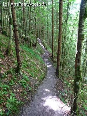 [P06] Poteca prin pădure, e ceva noroi datorită ploii.  » foto by tata123 🔱
 - 
<span class="allrVoted glyphicon glyphicon-heart hidden" id="av1111926"></span>
<a class="m-l-10 hidden" id="sv1111926" onclick="voting_Foto_DelVot(,1111926,2923)" role="button">șterge vot <span class="glyphicon glyphicon-remove"></span></a>
<a id="v91111926" class=" c-red"  onclick="voting_Foto_SetVot(1111926)" role="button"><span class="glyphicon glyphicon-heart-empty"></span> <b>LIKE</b> = Votează poza</a> <img class="hidden"  id="f1111926W9" src="/imagini/loader.gif" border="0" /><span class="AjErrMes hidden" id="e1111926ErM"></span>