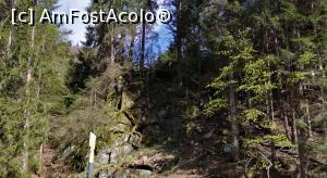 [P13] Cabana Voina, Lerești, Argeș, cadru natural, » foto by Mioritik
 - 
<span class="allrVoted glyphicon glyphicon-heart hidden" id="av1229777"></span>
<a class="m-l-10 hidden" id="sv1229777" onclick="voting_Foto_DelVot(,1229777,2924)" role="button">șterge vot <span class="glyphicon glyphicon-remove"></span></a>
<a id="v91229777" class=" c-red"  onclick="voting_Foto_SetVot(1229777)" role="button"><span class="glyphicon glyphicon-heart-empty"></span> <b>LIKE</b> = Votează poza</a> <img class="hidden"  id="f1229777W9" src="/imagini/loader.gif" border="0" /><span class="AjErrMes hidden" id="e1229777ErM"></span>