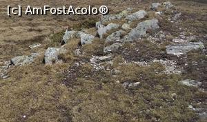 [P17] Cabana Voina, Lerești, Argeș, cadru natural, » foto by Mioritik
 - 
<span class="allrVoted glyphicon glyphicon-heart hidden" id="av1229781"></span>
<a class="m-l-10 hidden" id="sv1229781" onclick="voting_Foto_DelVot(,1229781,2924)" role="button">șterge vot <span class="glyphicon glyphicon-remove"></span></a>
<a id="v91229781" class=" c-red"  onclick="voting_Foto_SetVot(1229781)" role="button"><span class="glyphicon glyphicon-heart-empty"></span> <b>LIKE</b> = Votează poza</a> <img class="hidden"  id="f1229781W9" src="/imagini/loader.gif" border="0" /><span class="AjErrMes hidden" id="e1229781ErM"></span>