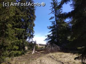 [P06] Cabana Voina, Lerești, Argeș, cadru natural » foto by Mioritik
 - 
<span class="allrVoted glyphicon glyphicon-heart hidden" id="av1229770"></span>
<a class="m-l-10 hidden" id="sv1229770" onclick="voting_Foto_DelVot(,1229770,2924)" role="button">șterge vot <span class="glyphicon glyphicon-remove"></span></a>
<a id="v91229770" class=" c-red"  onclick="voting_Foto_SetVot(1229770)" role="button"><span class="glyphicon glyphicon-heart-empty"></span> <b>LIKE</b> = Votează poza</a> <img class="hidden"  id="f1229770W9" src="/imagini/loader.gif" border="0" /><span class="AjErrMes hidden" id="e1229770ErM"></span>