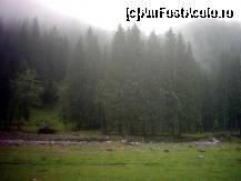 [P05] Zona de camping de langa Voina » foto by pepsi70ro
 - 
<span class="allrVoted glyphicon glyphicon-heart hidden" id="av155448"></span>
<a class="m-l-10 hidden" id="sv155448" onclick="voting_Foto_DelVot(,155448,2924)" role="button">șterge vot <span class="glyphicon glyphicon-remove"></span></a>
<a id="v9155448" class=" c-red"  onclick="voting_Foto_SetVot(155448)" role="button"><span class="glyphicon glyphicon-heart-empty"></span> <b>LIKE</b> = Votează poza</a> <img class="hidden"  id="f155448W9" src="/imagini/loader.gif" border="0" /><span class="AjErrMes hidden" id="e155448ErM"></span>