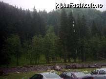 [P09] Terenul de fotbal de langa cabana » foto by pepsi70ro
 - 
<span class="allrVoted glyphicon glyphicon-heart hidden" id="av155452"></span>
<a class="m-l-10 hidden" id="sv155452" onclick="voting_Foto_DelVot(,155452,2924)" role="button">șterge vot <span class="glyphicon glyphicon-remove"></span></a>
<a id="v9155452" class=" c-red"  onclick="voting_Foto_SetVot(155452)" role="button"><span class="glyphicon glyphicon-heart-empty"></span> <b>LIKE</b> = Votează poza</a> <img class="hidden"  id="f155452W9" src="/imagini/loader.gif" border="0" /><span class="AjErrMes hidden" id="e155452ErM"></span>