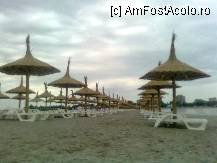 [P01] Intre chestiile astea nu ai voie sa stai, poate unora le pare occidental...din pacate! » foto by dasler*
 - 
<span class="allrVoted glyphicon glyphicon-heart hidden" id="av216910"></span>
<a class="m-l-10 hidden" id="sv216910" onclick="voting_Foto_DelVot(,216910,2925)" role="button">șterge vot <span class="glyphicon glyphicon-remove"></span></a>
<a id="v9216910" class=" c-red"  onclick="voting_Foto_SetVot(216910)" role="button"><span class="glyphicon glyphicon-heart-empty"></span> <b>LIKE</b> = Votează poza</a> <img class="hidden"  id="f216910W9" src="/imagini/loader.gif" border="0" /><span class="AjErrMes hidden" id="e216910ErM"></span>