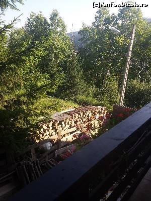 [P11]  -- <small>// FĂRĂ DESCRIERE</small> » foto by Ystely
 - 
<span class="allrVoted glyphicon glyphicon-heart hidden" id="av667888"></span>
<a class="m-l-10 hidden" id="sv667888" onclick="voting_Foto_DelVot(,667888,2955)" role="button">șterge vot <span class="glyphicon glyphicon-remove"></span></a>
<a id="v9667888" class=" c-red"  onclick="voting_Foto_SetVot(667888)" role="button"><span class="glyphicon glyphicon-heart-empty"></span> <b>LIKE</b> = Votează poza</a> <img class="hidden"  id="f667888W9" src="/imagini/loader.gif" border="0" /><span class="AjErrMes hidden" id="e667888ErM"></span>
