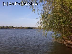 [P25] Gorgova, Brațul Sulina, Tulcea » foto by Mioritik
 - 
<span class="allrVoted glyphicon glyphicon-heart hidden" id="av1276522"></span>
<a class="m-l-10 hidden" id="sv1276522" onclick="voting_Foto_DelVot(,1276522,2956)" role="button">șterge vot <span class="glyphicon glyphicon-remove"></span></a>
<a id="v91276522" class=" c-red"  onclick="voting_Foto_SetVot(1276522)" role="button"><span class="glyphicon glyphicon-heart-empty"></span> <b>LIKE</b> = Votează poza</a> <img class="hidden"  id="f1276522W9" src="/imagini/loader.gif" border="0" /><span class="AjErrMes hidden" id="e1276522ErM"></span>