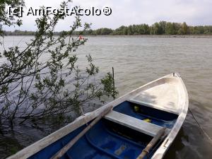 [P27] Gorgova, Brațul Sulina, Tulcea » foto by Mioritik
 - 
<span class="allrVoted glyphicon glyphicon-heart hidden" id="av1276524"></span>
<a class="m-l-10 hidden" id="sv1276524" onclick="voting_Foto_DelVot(,1276524,2956)" role="button">șterge vot <span class="glyphicon glyphicon-remove"></span></a>
<a id="v91276524" class=" c-red"  onclick="voting_Foto_SetVot(1276524)" role="button"><span class="glyphicon glyphicon-heart-empty"></span> <b>LIKE</b> = Votează poza</a> <img class="hidden"  id="f1276524W9" src="/imagini/loader.gif" border="0" /><span class="AjErrMes hidden" id="e1276524ErM"></span>