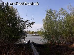 [P30] Gorgova, Brațul Sulina, Tulcea » foto by Mioritik
 - 
<span class="allrVoted glyphicon glyphicon-heart hidden" id="av1276527"></span>
<a class="m-l-10 hidden" id="sv1276527" onclick="voting_Foto_DelVot(,1276527,2956)" role="button">șterge vot <span class="glyphicon glyphicon-remove"></span></a>
<a id="v91276527" class=" c-red"  onclick="voting_Foto_SetVot(1276527)" role="button"><span class="glyphicon glyphicon-heart-empty"></span> <b>LIKE</b> = Votează poza</a> <img class="hidden"  id="f1276527W9" src="/imagini/loader.gif" border="0" /><span class="AjErrMes hidden" id="e1276527ErM"></span>