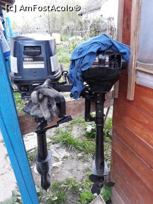 [P32] Gorgova, Brațul Sulina, Tulcea » foto by Mioritik
 - 
<span class="allrVoted glyphicon glyphicon-heart hidden" id="av1276529"></span>
<a class="m-l-10 hidden" id="sv1276529" onclick="voting_Foto_DelVot(,1276529,2956)" role="button">șterge vot <span class="glyphicon glyphicon-remove"></span></a>
<a id="v91276529" class=" c-red"  onclick="voting_Foto_SetVot(1276529)" role="button"><span class="glyphicon glyphicon-heart-empty"></span> <b>LIKE</b> = Votează poza</a> <img class="hidden"  id="f1276529W9" src="/imagini/loader.gif" border="0" /><span class="AjErrMes hidden" id="e1276529ErM"></span>
