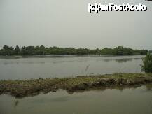 [P37]  -- <small>// FĂRĂ DESCRIERE</small> » foto by lavylus
 - 
<span class="allrVoted glyphicon glyphicon-heart hidden" id="av169976"></span>
<a class="m-l-10 hidden" id="sv169976" onclick="voting_Foto_DelVot(,169976,2956)" role="button">șterge vot <span class="glyphicon glyphicon-remove"></span></a>
<a id="v9169976" class=" c-red"  onclick="voting_Foto_SetVot(169976)" role="button"><span class="glyphicon glyphicon-heart-empty"></span> <b>LIKE</b> = Votează poza</a> <img class="hidden"  id="f169976W9" src="/imagini/loader.gif" border="0" /><span class="AjErrMes hidden" id="e169976ErM"></span>