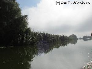[P53]  -- <small>// FĂRĂ DESCRIERE</small> » foto by Testosu'
 - 
<span class="allrVoted glyphicon glyphicon-heart hidden" id="av677565"></span>
<a class="m-l-10 hidden" id="sv677565" onclick="voting_Foto_DelVot(,677565,2956)" role="button">șterge vot <span class="glyphicon glyphicon-remove"></span></a>
<a id="v9677565" class=" c-red"  onclick="voting_Foto_SetVot(677565)" role="button"><span class="glyphicon glyphicon-heart-empty"></span> <b>LIKE</b> = Votează poza</a> <img class="hidden"  id="f677565W9" src="/imagini/loader.gif" border="0" /><span class="AjErrMes hidden" id="e677565ErM"></span>
