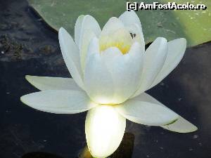 [P06]  -- <small>// FĂRĂ DESCRIERE</small> » foto by Testosu'
 - 
<span class="allrVoted glyphicon glyphicon-heart hidden" id="av677518"></span>
<a class="m-l-10 hidden" id="sv677518" onclick="voting_Foto_DelVot(,677518,2956)" role="button">șterge vot <span class="glyphicon glyphicon-remove"></span></a>
<a id="v9677518" class=" c-red"  onclick="voting_Foto_SetVot(677518)" role="button"><span class="glyphicon glyphicon-heart-empty"></span> <b>LIKE</b> = Votează poza</a> <img class="hidden"  id="f677518W9" src="/imagini/loader.gif" border="0" /><span class="AjErrMes hidden" id="e677518ErM"></span>