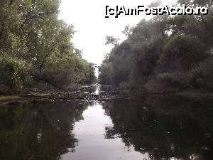 [P32] excursie în Delta Dunării » foto by robert
 - 
<span class="allrVoted glyphicon glyphicon-heart hidden" id="av643071"></span>
<a class="m-l-10 hidden" id="sv643071" onclick="voting_Foto_DelVot(,643071,2956)" role="button">șterge vot <span class="glyphicon glyphicon-remove"></span></a>
<a id="v9643071" class=" c-red"  onclick="voting_Foto_SetVot(643071)" role="button"><span class="glyphicon glyphicon-heart-empty"></span> <b>LIKE</b> = Votează poza</a> <img class="hidden"  id="f643071W9" src="/imagini/loader.gif" border="0" /><span class="AjErrMes hidden" id="e643071ErM"></span>