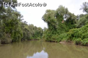 [P11] Atmosfera de jungla » foto by AZE
 - 
<span class="allrVoted glyphicon glyphicon-heart hidden" id="av796455"></span>
<a class="m-l-10 hidden" id="sv796455" onclick="voting_Foto_DelVot(,796455,2956)" role="button">șterge vot <span class="glyphicon glyphicon-remove"></span></a>
<a id="v9796455" class=" c-red"  onclick="voting_Foto_SetVot(796455)" role="button"><span class="glyphicon glyphicon-heart-empty"></span> <b>LIKE</b> = Votează poza</a> <img class="hidden"  id="f796455W9" src="/imagini/loader.gif" border="0" /><span class="AjErrMes hidden" id="e796455ErM"></span>