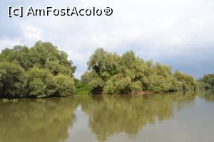 [P19]  -- <small>// FĂRĂ DESCRIERE</small> » foto by AZE
 - 
<span class="allrVoted glyphicon glyphicon-heart hidden" id="av796463"></span>
<a class="m-l-10 hidden" id="sv796463" onclick="voting_Foto_DelVot(,796463,2956)" role="button">șterge vot <span class="glyphicon glyphicon-remove"></span></a>
<a id="v9796463" class=" c-red"  onclick="voting_Foto_SetVot(796463)" role="button"><span class="glyphicon glyphicon-heart-empty"></span> <b>LIKE</b> = Votează poza</a> <img class="hidden"  id="f796463W9" src="/imagini/loader.gif" border="0" /><span class="AjErrMes hidden" id="e796463ErM"></span>