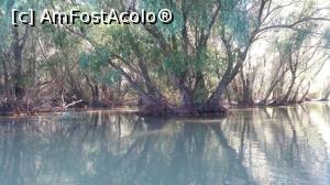 [P15] Am intrat pe canalul Uzlina » foto by costy69*
 - 
<span class="allrVoted glyphicon glyphicon-heart hidden" id="av794392"></span>
<a class="m-l-10 hidden" id="sv794392" onclick="voting_Foto_DelVot(,794392,2956)" role="button">șterge vot <span class="glyphicon glyphicon-remove"></span></a>
<a id="v9794392" class=" c-red"  onclick="voting_Foto_SetVot(794392)" role="button"><span class="glyphicon glyphicon-heart-empty"></span> <b>LIKE</b> = Votează poza</a> <img class="hidden"  id="f794392W9" src="/imagini/loader.gif" border="0" /><span class="AjErrMes hidden" id="e794392ErM"></span>