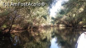 [P21] Pe canalele Deltei Dunării » foto by costy69*
 - 
<span class="allrVoted glyphicon glyphicon-heart hidden" id="av794416"></span>
<a class="m-l-10 hidden" id="sv794416" onclick="voting_Foto_DelVot(,794416,2956)" role="button">șterge vot <span class="glyphicon glyphicon-remove"></span></a>
<a id="v9794416" class=" c-red"  onclick="voting_Foto_SetVot(794416)" role="button"><span class="glyphicon glyphicon-heart-empty"></span> <b>LIKE</b> = Votează poza</a> <img class="hidden"  id="f794416W9" src="/imagini/loader.gif" border="0" /><span class="AjErrMes hidden" id="e794416ErM"></span>