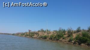 [P08] cal sălbatic pe unul din canalele Deltei Dunării » foto by costy69*
 - 
<span class="allrVoted glyphicon glyphicon-heart hidden" id="av794380"></span>
<a class="m-l-10 hidden" id="sv794380" onclick="voting_Foto_DelVot(,794380,2956)" role="button">șterge vot <span class="glyphicon glyphicon-remove"></span></a>
<a id="v9794380" class=" c-red"  onclick="voting_Foto_SetVot(794380)" role="button"><span class="glyphicon glyphicon-heart-empty"></span> <b>LIKE</b> = Votează poza</a> <img class="hidden"  id="f794380W9" src="/imagini/loader.gif" border="0" /><span class="AjErrMes hidden" id="e794380ErM"></span>