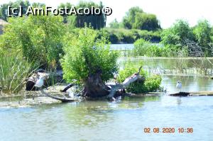 [P29] Între canale » foto by KSV
 - 
<span class="allrVoted glyphicon glyphicon-heart hidden" id="av1176480"></span>
<a class="m-l-10 hidden" id="sv1176480" onclick="voting_Foto_DelVot(,1176480,2956)" role="button">șterge vot <span class="glyphicon glyphicon-remove"></span></a>
<a id="v91176480" class=" c-red"  onclick="voting_Foto_SetVot(1176480)" role="button"><span class="glyphicon glyphicon-heart-empty"></span> <b>LIKE</b> = Votează poza</a> <img class="hidden"  id="f1176480W9" src="/imagini/loader.gif" border="0" /><span class="AjErrMes hidden" id="e1176480ErM"></span>