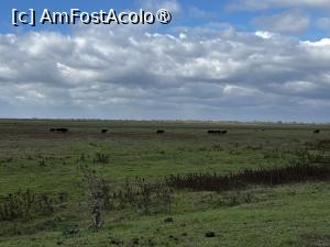 [P42] Ultima poza, la 1% baterie.
Cautatul retelei mi-a consumat foarte multa baterie. » foto by raluca banu
 - 
<span class="allrVoted glyphicon glyphicon-heart hidden" id="av1503092"></span>
<a class="m-l-10 hidden" id="sv1503092" onclick="voting_Foto_DelVot(,1503092,2956)" role="button">șterge vot <span class="glyphicon glyphicon-remove"></span></a>
<a id="v91503092" class=" c-red"  onclick="voting_Foto_SetVot(1503092)" role="button"><span class="glyphicon glyphicon-heart-empty"></span> <b>LIKE</b> = Votează poza</a> <img class="hidden"  id="f1503092W9" src="/imagini/loader.gif" border="0" /><span class="AjErrMes hidden" id="e1503092ErM"></span>