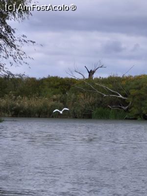 [P44]  -- <small>// FĂRĂ DESCRIERE</small> » foto by raluca banu
 - 
<span class="allrVoted glyphicon glyphicon-heart hidden" id="av1503094"></span>
<a class="m-l-10 hidden" id="sv1503094" onclick="voting_Foto_DelVot(,1503094,2956)" role="button">șterge vot <span class="glyphicon glyphicon-remove"></span></a>
<a id="v91503094" class=" c-red"  onclick="voting_Foto_SetVot(1503094)" role="button"><span class="glyphicon glyphicon-heart-empty"></span> <b>LIKE</b> = Votează poza</a> <img class="hidden"  id="f1503094W9" src="/imagini/loader.gif" border="0" /><span class="AjErrMes hidden" id="e1503094ErM"></span>