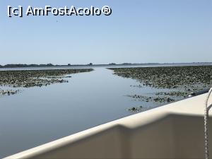 [P48] Prin măruntaiele Deltei Dunării, frumoasă poteca din fața noastră » foto by krisstinna
 - 
<span class="allrVoted glyphicon glyphicon-heart hidden" id="av1183983"></span>
<a class="m-l-10 hidden" id="sv1183983" onclick="voting_Foto_DelVot(,1183983,2956)" role="button">șterge vot <span class="glyphicon glyphicon-remove"></span></a>
<a id="v91183983" class=" c-red"  onclick="voting_Foto_SetVot(1183983)" role="button"><span class="glyphicon glyphicon-heart-empty"></span> <b>LIKE</b> = Votează poza</a> <img class="hidden"  id="f1183983W9" src="/imagini/loader.gif" border="0" /><span class="AjErrMes hidden" id="e1183983ErM"></span>