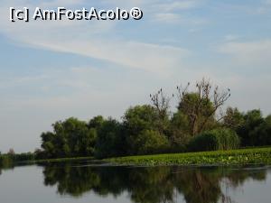 [P19] „Fantomele Deltei” - cormoranii.  » foto by tata123 🔱
 - 
<span class="allrVoted glyphicon glyphicon-heart hidden" id="av1082464"></span>
<a class="m-l-10 hidden" id="sv1082464" onclick="voting_Foto_DelVot(,1082464,2956)" role="button">șterge vot <span class="glyphicon glyphicon-remove"></span></a>
<a id="v91082464" class=" c-red"  onclick="voting_Foto_SetVot(1082464)" role="button"><span class="glyphicon glyphicon-heart-empty"></span> <b>LIKE</b> = Votează poza</a> <img class="hidden"  id="f1082464W9" src="/imagini/loader.gif" border="0" /><span class="AjErrMes hidden" id="e1082464ErM"></span>