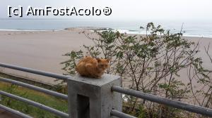 [P15] Exista si asa ceva la Eforie, nu numai la greci.  » foto by Nicu
 - 
<span class="allrVoted glyphicon glyphicon-heart hidden" id="av1023149"></span>
<a class="m-l-10 hidden" id="sv1023149" onclick="voting_Foto_DelVot(,1023149,2972)" role="button">șterge vot <span class="glyphicon glyphicon-remove"></span></a>
<a id="v91023149" class=" c-red"  onclick="voting_Foto_SetVot(1023149)" role="button"><span class="glyphicon glyphicon-heart-empty"></span> <b>LIKE</b> = Votează poza</a> <img class="hidden"  id="f1023149W9" src="/imagini/loader.gif" border="0" /><span class="AjErrMes hidden" id="e1023149ErM"></span>