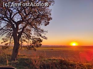 [P01] Apus de soare pe undeva, prin Dobrogea » foto by crismis
 - 
<span class="allrVoted glyphicon glyphicon-heart hidden" id="av1355166"></span>
<a class="m-l-10 hidden" id="sv1355166" onclick="voting_Foto_DelVot(,1355166,2991)" role="button">șterge vot <span class="glyphicon glyphicon-remove"></span></a>
<a id="v91355166" class=" c-red"  onclick="voting_Foto_SetVot(1355166)" role="button"><span class="glyphicon glyphicon-heart-empty"></span> <b>LIKE</b> = Votează poza</a> <img class="hidden"  id="f1355166W9" src="/imagini/loader.gif" border="0" /><span class="AjErrMes hidden" id="e1355166ErM"></span>