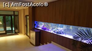 [P19] INTRARE INTERIOARA HOTEL SI RESTAURANT A LA CARTE » foto by ma_ryan
 - 
<span class="allrVoted glyphicon glyphicon-heart hidden" id="av792497"></span>
<a class="m-l-10 hidden" id="sv792497" onclick="voting_Foto_DelVot(,792497,2991)" role="button">șterge vot <span class="glyphicon glyphicon-remove"></span></a>
<a id="v9792497" class=" c-red"  onclick="voting_Foto_SetVot(792497)" role="button"><span class="glyphicon glyphicon-heart-empty"></span> <b>LIKE</b> = Votează poza</a> <img class="hidden"  id="f792497W9" src="/imagini/loader.gif" border="0" /><span class="AjErrMes hidden" id="e792497ErM"></span>