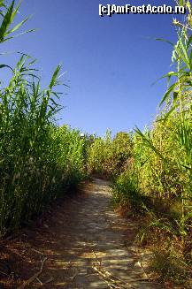 [P28] Printre trestii, dinspre Sidari către Canal d'Amour » foto by cher-cher
 - 
<span class="allrVoted glyphicon glyphicon-heart hidden" id="av418183"></span>
<a class="m-l-10 hidden" id="sv418183" onclick="voting_Foto_DelVot(,418183,3004)" role="button">șterge vot <span class="glyphicon glyphicon-remove"></span></a>
<a id="v9418183" class=" c-red"  onclick="voting_Foto_SetVot(418183)" role="button"><span class="glyphicon glyphicon-heart-empty"></span> <b>LIKE</b> = Votează poza</a> <img class="hidden"  id="f418183W9" src="/imagini/loader.gif" border="0" /><span class="AjErrMes hidden" id="e418183ErM"></span>