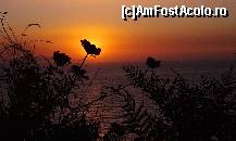 [P46]  -- <small>// FĂRĂ DESCRIERE</small> » foto by cher-cher
 - 
<span class="allrVoted glyphicon glyphicon-heart hidden" id="av418201"></span>
<a class="m-l-10 hidden" id="sv418201" onclick="voting_Foto_DelVot(,418201,3004)" role="button">șterge vot <span class="glyphicon glyphicon-remove"></span></a>
<a id="v9418201" class=" c-red"  onclick="voting_Foto_SetVot(418201)" role="button"><span class="glyphicon glyphicon-heart-empty"></span> <b>LIKE</b> = Votează poza</a> <img class="hidden"  id="f418201W9" src="/imagini/loader.gif" border="0" /><span class="AjErrMes hidden" id="e418201ErM"></span>