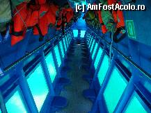 [P11]  -- <small>// FĂRĂ DESCRIERE</small> » foto by sniga
 - 
<span class="allrVoted glyphicon glyphicon-heart hidden" id="av206842"></span>
<a class="m-l-10 hidden" id="sv206842" onclick="voting_Foto_DelVot(,206842,3004)" role="button">șterge vot <span class="glyphicon glyphicon-remove"></span></a>
<a id="v9206842" class=" c-red"  onclick="voting_Foto_SetVot(206842)" role="button"><span class="glyphicon glyphicon-heart-empty"></span> <b>LIKE</b> = Votează poza</a> <img class="hidden"  id="f206842W9" src="/imagini/loader.gif" border="0" /><span class="AjErrMes hidden" id="e206842ErM"></span>