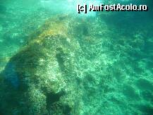 [P16]  -- <small>// FĂRĂ DESCRIERE</small> » foto by sniga
 - 
<span class="allrVoted glyphicon glyphicon-heart hidden" id="av206851"></span>
<a class="m-l-10 hidden" id="sv206851" onclick="voting_Foto_DelVot(,206851,3004)" role="button">șterge vot <span class="glyphicon glyphicon-remove"></span></a>
<a id="v9206851" class=" c-red"  onclick="voting_Foto_SetVot(206851)" role="button"><span class="glyphicon glyphicon-heart-empty"></span> <b>LIKE</b> = Votează poza</a> <img class="hidden"  id="f206851W9" src="/imagini/loader.gif" border="0" /><span class="AjErrMes hidden" id="e206851ErM"></span>