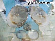 [P27]  -- <small>// FĂRĂ DESCRIERE</small> » foto by sniga
 - 
<span class="allrVoted glyphicon glyphicon-heart hidden" id="av206866"></span>
<a class="m-l-10 hidden" id="sv206866" onclick="voting_Foto_DelVot(,206866,3004)" role="button">șterge vot <span class="glyphicon glyphicon-remove"></span></a>
<a id="v9206866" class=" c-red"  onclick="voting_Foto_SetVot(206866)" role="button"><span class="glyphicon glyphicon-heart-empty"></span> <b>LIKE</b> = Votează poza</a> <img class="hidden"  id="f206866W9" src="/imagini/loader.gif" border="0" /><span class="AjErrMes hidden" id="e206866ErM"></span>