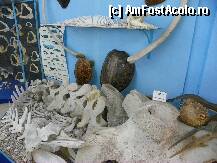 [P30]  -- <small>// FĂRĂ DESCRIERE</small> » foto by sniga
 - 
<span class="allrVoted glyphicon glyphicon-heart hidden" id="av206871"></span>
<a class="m-l-10 hidden" id="sv206871" onclick="voting_Foto_DelVot(,206871,3004)" role="button">șterge vot <span class="glyphicon glyphicon-remove"></span></a>
<a id="v9206871" class=" c-red"  onclick="voting_Foto_SetVot(206871)" role="button"><span class="glyphicon glyphicon-heart-empty"></span> <b>LIKE</b> = Votează poza</a> <img class="hidden"  id="f206871W9" src="/imagini/loader.gif" border="0" /><span class="AjErrMes hidden" id="e206871ErM"></span>