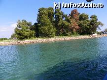 [P38] micuta Insula a Soarecelui » foto by sniga
 - 
<span class="allrVoted glyphicon glyphicon-heart hidden" id="av206880"></span>
<a class="m-l-10 hidden" id="sv206880" onclick="voting_Foto_DelVot(,206880,3004)" role="button">șterge vot <span class="glyphicon glyphicon-remove"></span></a>
<a id="v9206880" class=" c-red"  onclick="voting_Foto_SetVot(206880)" role="button"><span class="glyphicon glyphicon-heart-empty"></span> <b>LIKE</b> = Votează poza</a> <img class="hidden"  id="f206880W9" src="/imagini/loader.gif" border="0" /><span class="AjErrMes hidden" id="e206880ErM"></span>